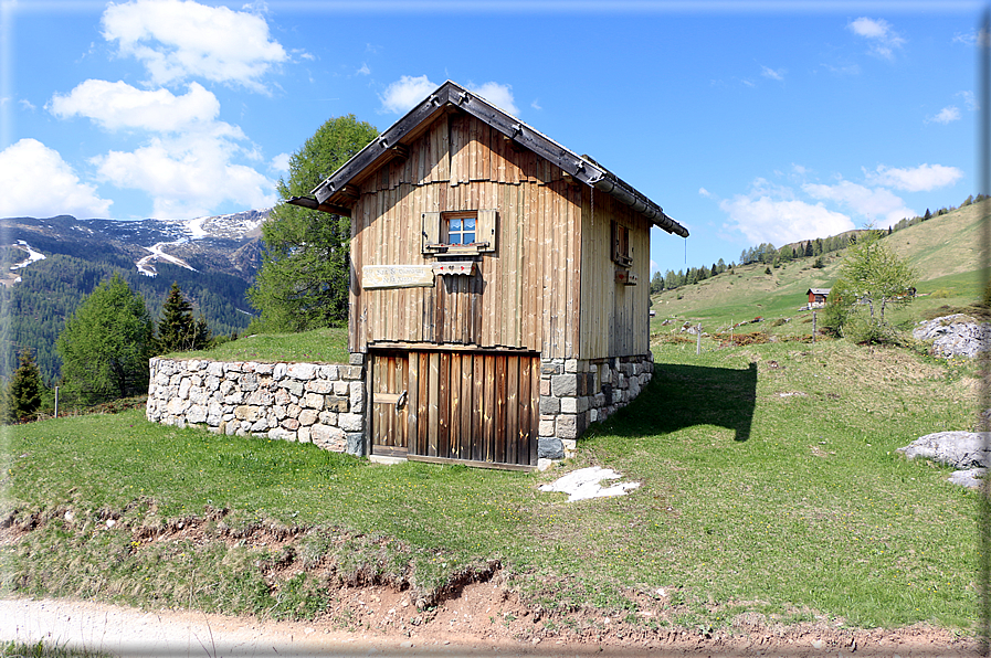 foto Forca Rossa e Passo San Pellegrino